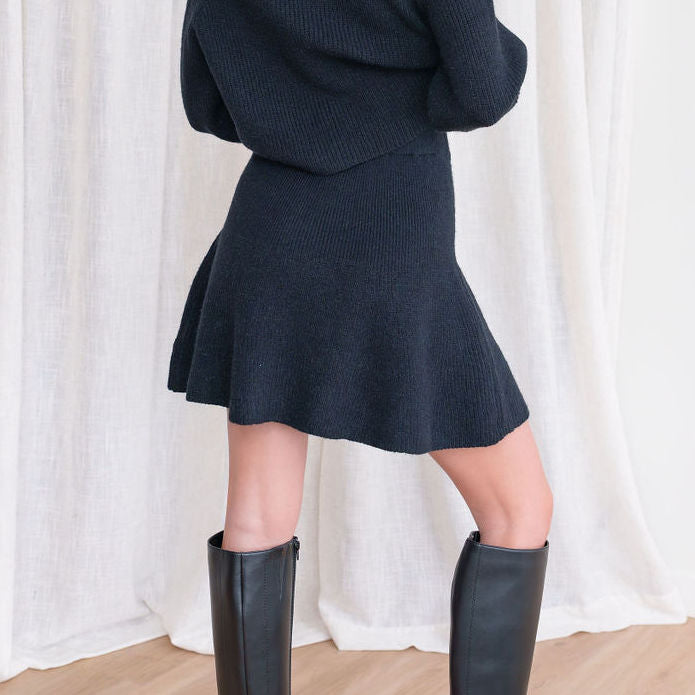 Sweater Skater Skirt And Sweater Set