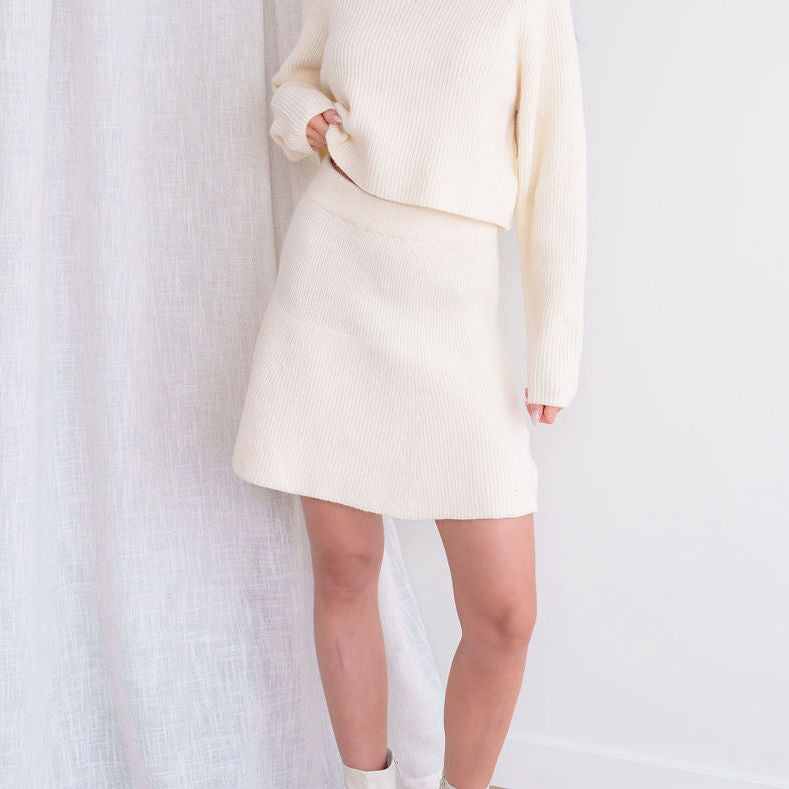 Sweater Skater Skirt And Sweater Set