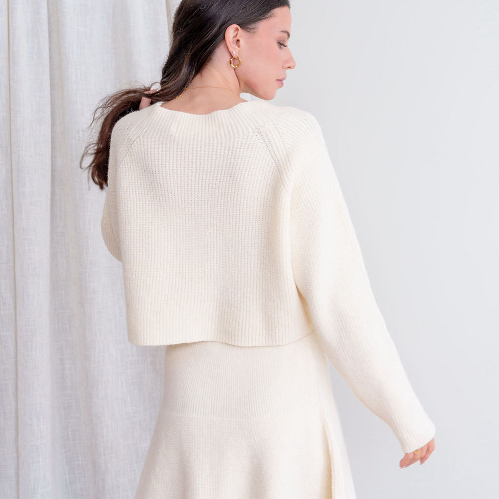 Sweater Skater Skirt And Sweater Set