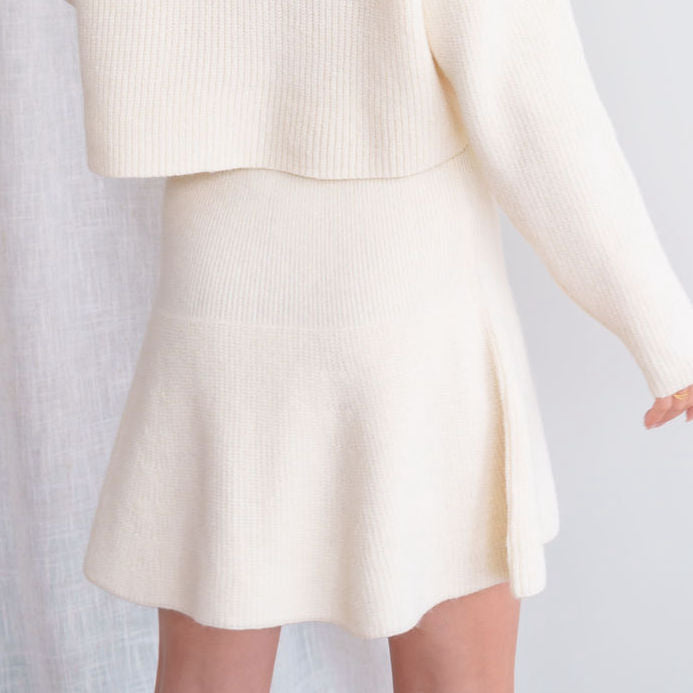 Sweater Skater Skirt And Sweater Set
