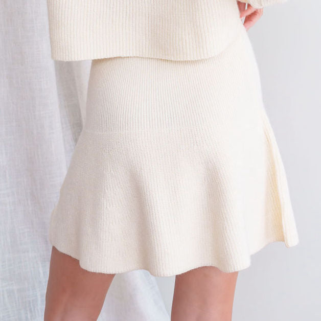 Sweater Skater Skirt And Sweater Set